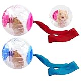 TAIZER Hamster Run Ball 2 Stück Laufkugel für Hamster Kunststof Hamsterball Mit Zugseil Leise Hamster Spielzeug small Haustier Rolle Kugel Nagerspielzeug zum Laufen für Hamster-Kleintiere