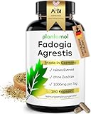 180 Fadogia Agrestis Extrakt Kapseln ohne Zusätze = 20.000mg Fadogia Agrestis Pulver pro Tag (2 Kapseln) - OHNE ZUSÄTZE - vegan & hochdosiert - Fadogia PUR von plantomol®