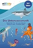 'WiBuKi' Wissensbuch für Kinder: Die Unterwasserwelt: Vielerlei über Tiere, die in den Tiefen der Weltmeere leben - Vorlesebuch für Kinder ab 3 Jahren