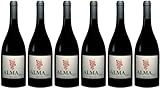 Alma Lopez Wines Alma Lopez Flor 9 Meses Ribera del Duero DO 2023 Trocken Bio (6 x 0.75 l)