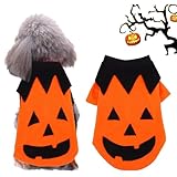 Hunde Kleidung,Halloween Haustier Kleidung,Halloween Haustier Kostüm,der Partykleidung für Hunde Verkleidet Welpen Halloween Weihnachts Osterfest Partyaktivität (M)