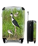 MuchoWow® Koffer Handgepäck Trolley Rollkoffer Kleine Reisekoffer mit 4 Rollen - Vogel - Gras - Küken - Sumpf - Cabin Size  55x40x23 cm & 55x40x20 cm - Fotokoffer - Kabinenkoffer - Boardgepäck