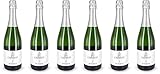 6x Crémant Baden 2020 - Familien-Weingut Renner, Baden - Weißwein