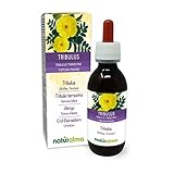 Erd-Burzeldorn (Tribulus terrestris) Früchte Alkoholfreier Urtinktur Naturalma - Flüssig-Extrakt Tropfen 120 ml - Nahrungsergänzungsmittel - Veganer