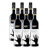 Feinkost Käfer Montepulciano d' Abruzzo DOC Italien (6 x 0.75 l)