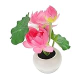 Angoily Lotus Topflicht Dekorationen für den Schreibtisch Nachtlampe dekorative Lampe bedside lamp bettlampe klemmleuchte lotus lamp tischlampe LED-Licht Heimdekoration Plastik Rosa