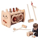 HgbfMij Holzhämmerspielzeug, Kinderhämmerspielzeug | Mehrzweck-Hämmerspielzeug aus Holz - Niedliches Schlagspielzeug im Cartoon-Stil, lustiges sensorisches Spielzeug für Hand-Auge-Koordination,