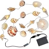 Muschel Lichterkette, maritim LED Lichterkette mit Batteriekasten, 20 LEDs warmweiß Festive Lights, echte Muscheln, DIY USB kreative Beleuchtung für Halloween Weihnachtsdekoration…