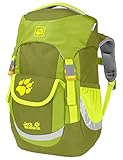 Jack 2008242 Wolfskin Unisex Jugend Kids Explorer 16 Kinder Wanderrucksack, Green Tea, ONE Size