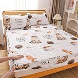 JIANINGHOME Mikrofaser Gesteppte Matratzenauflage Matratzenschoner Unterbett - atmungsaktiv, wärmeregulierend - Bettauflage Matratzenschutz Soft-Topper,48x74cm/2pcs