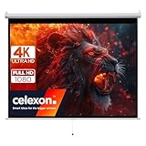 celexon Basic Rollo-Leinwand 100' | 200x150 cm 4:3 | ausziehbare Full-HD 4K Beamer-Leinwand für Heimkino oder Büro-Präsentationen | Projektionsleinwand geeignet zur Deckenmontage oder Wandmontage