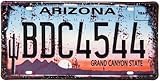 Retro Nummernschild - Route 66 - Arizona - USA Vintage Auto Motorway Deko Schild, Blechschild, 30 x 15 cm