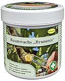 Schacht 1BAUM250 Baumwachs'Brunonia' 250 g Dose