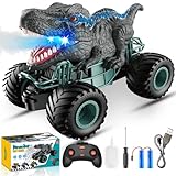 HappyGoLucky Monstertruck Ferngesteuertes Auto ab 3 4 5 6 7 8 Jahre, Dinosaurier Spielzeug ab 3-10 Jahre Junge, RC Auto mit Sprühnebel, Musik, LED-Leuchten, Outdoor Spielzeug Kindertag Geschenk Kinder