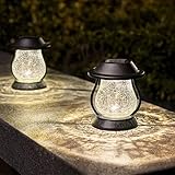 LeiDrail Solarlaterne für Außen Solar Laterne Set mit Schäferhaken, Metall Wasserdicht Warmweiß LED Lampe Solarleuchten Garten für Außen Balkon Hof 2 Stück