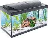 Tetra Starter Line 54 L Aquarium Komplett-Set - inkl. Tag- & Nachtlicht LED-Beleuchtung, Innenfilter, Heizer, Fischfutter und Wasseraufbereiter