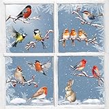 9 Blatt Fensterbilder Winter Vögel Fensterbilder Selbstklebend Weihnachten Frühling Fenstersticker Fensteraufkleber Fenster Kinderzimmer Party Deko Fensterfolie Fensterdeko (C)