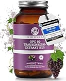 QIDOSHA® Premium OPC Traubenkernextrakt hochdosiert I TESTSIEGER 08/2023* I 240 Stk im Glas I OPC Kapseln hochdosiert mit 60% reinem OPC I 800mg Traubenkernextrakt mit 480mg OPC je Tagesdosis I vegan