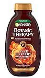 Garnier Botanic Therapy Honey Ginger Shampoo 250 ML