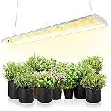 Spider Farmer LED Pflanzenlampe SF600 LED Grow Lampe Vollspektrum Grow Light Wachstumslampe für Zimmerpflanzen mit Reflektor Pflanzenleuchte Pflanzenlicht für Innen Gartenarbeit Gemüse Blume 384 LEDs