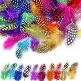 Mwoot 120 Stück 5-13cm Bunte Indianer Feder zum Basteln Federn bunt für DIY Kunstwerk, Dekoration für Karneval Masken, Hüte oder Haarschmucken, 10 Farben