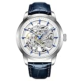 Pagani Design 2023 Herren Automatik Skelett, Automatik, Edelstahl Herrenuhr, Lederband, Zeigerserie, wasserdicht bis 100 Meter (Blaue Serie-1638)