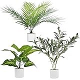 Beinhome Künstliche Tropische Pflanzen, Olivenbaum&Areca Kunstpalme&Syngonium(35cm)，künstliche Pflanze für Wand, Zimmer, Zuhause, Innen- und Außenbereich, Regaldekoration, 3 Stück