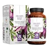 FELSENFEST - Johanniskraut Baldrian Passionsblume Kapseln hochdosiert - Vergleichssieger * - St Johns Wort mit Folsäure & B12 - Vegan - 90 Kapseln