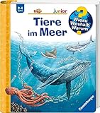 Wieso? Weshalb? Warum? junior, Band 57: Tiere im Meer (junior, 57)