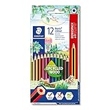 STAEDTLER Buntstifte Noris colour, rutschfeste Soft-Oberfläche, hohe Bruchfestigkeit, Made from Upcycled Wood, intensive Farben, Sechskantformat, 12 Farbstifte + 1 Buntstift im Kartonetui, 185 SET9