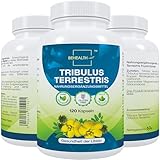 Bravol Tribulus Terrestris Kraft & Vitalität Nahrungsergänzungsmittel hochdosiert - Natürliche Testosteronunterstützung für Männer & Frauen, verbesserte körperliche Leistungsfähigkeit - 120 Kapseln