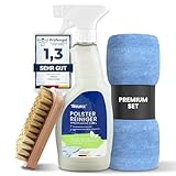 Treufix - Polsterreiniger & Teppichreiniger für Autositze, Sofa & Couch [Profi SET inkl. Polsterbürste & Mikrofasertuch] Effektiver Sofa Reiniger für maximale Sauberkeit 500 ml - Made in DE