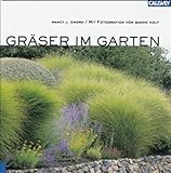 Gräser im Garten.