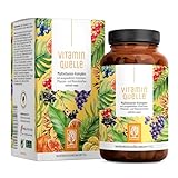 All in One Multivitamin & Mineralien Komplex - 35 wertvolle A-Z Vitamine und Mineralstoffe - Multi Vitamin Kapseln hochdosiert - Vegan und ohne unnötige Zusatzstoffe