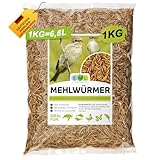 Mehlwürmer getrocknet 1kg = 6500ml Insektensnack für Vögel, Fische, Schildkröten, Nager und Reptilien, Vogelfutter Wildvögel Ganzjährig, Eichhörnchen Futter, Igelfutter