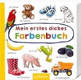 Mein erstes dickes Farbenbuch: Mit stabilen Schiebern | Die Bestsellerreihe mit lustigen Schiebern, fördert die Feinmotorik und den Sprachererwerb für Kinder ab 18 Monaten