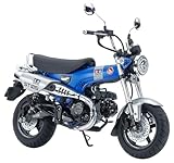 TAMIYA 14142 1:12 Honda DAX 125 Edition - originalgetreue Nachbildung, Plastik Bausatz, Basteln, Modellbausatz, Zusammenbauen, Motorrad Bausatz