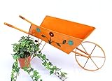 DENK Pflanzkarre 19536 Orange Schubkarre 77cm Karre Blumenkasten Blumenständer