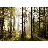 Runa Art Fototapeten 396 x 280 cm Wald Landschaft Sonnenstrahlen - Vlies Wanddekoration Wohnzimmer Schlafzimmer - Deutsche Manufaktur - Grün Braun 9010012a