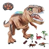 WISHTIME Fernbedienung Dinosaurier Spielzeug für Kinder, RC Tierspielzeug LED Leuchten Dinosaurier Gehen und Brüllen Realistische T-Rex Roboter Spielzeug Für Kleinkinder Jungen Mädchen