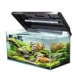 VIALIA Aquarium rechteckig mit Juwel LED Abdeckung schwarz 60x30x30 cm, 54 Liter, Glasbecken für Fische und Wasserpflanzen, Aquarium Becken stoßfest