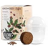 GROW2GO Dein eigener Zwergkaffee Strauch zum selber Pflanzen - Immergrüner Kaffeestrauch mit wunderschönen Blüten für die Anzucht von eigenen Kaffeebohnen (Anzuchtset)