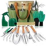 YAUNGEL Gartenwerkzeug Set, 10 Stück Schwerlast Edelstahl Gartenarbeit Kit mit Non-Slip Holzgriff- Garten Geschenke Verpackung für Frauen Männer, Grün