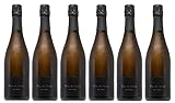 6x 0,75l - 2017er - Terra de Marca - Brut Nature - Cava D.O.P. - Spanien - Schaumwein brut