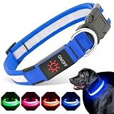 BiPawTi Hundehalsband Leuchtend Aufladbar, 3 Lichtmodi Beleuchtetes LED Sicherheitshalsband für Mittlere Hunde - Leuchtet Im Dunkeln Super Helle Hund Halsband für Nachtspaziergänge/Camping - Blau, M