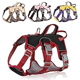 LiebeDD Hundegeschirr für Kleine Mittelgroße Grosse Hunde und Welpen, Anti Zug Geschirr Hund Sicherheitsgeschirr Ausbruchsicher Welpengeschirr No Pull Hundegeschirr Dog Harness, Schwarz, M