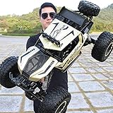 TEKZEN Großes ferngesteuertes Auto RC Monster Truck Hochgeschwindigkeits-Wüste Offroad-Funksteuerung Racing Elektro-RC-Auto for Kinder Mädchen Hobby Spielzeug RC-Autos for Jungen 4-7/8-12 Geschenke