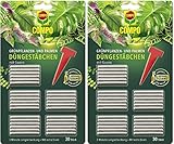 COMPO Grünpflanzen- und Palmen Düngestäbchen mit Guano 2er Pack | Dünger | 3 Monate Langzeitwirkung | 2 x 30 Stück (60 Stück)