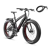 TELEFUNKEN E-Bike Mountainbike Elektrofahrrad Alu, 8 Gang Kettenschaltung - Pedelec Fatbike MTB, Hinterradmotor 250W, Scheibenbremsen, Aufsteiger FM350