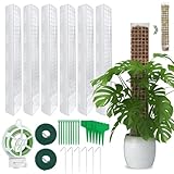 Moosstab Rankhilfe 6 Stück 61cm, Rankhilfe Zimmerpflanzen, Rankhilfe Monstera, Rankstab Monstera, Mit 6 Erdspieße, 2 Klettbändern, 30m Garten Drehbinder, 10 Pflanzenetiketten und 10 Kabelbinder.